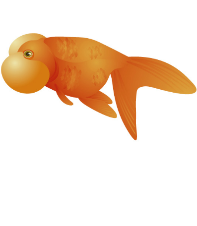 ���̃g�C������